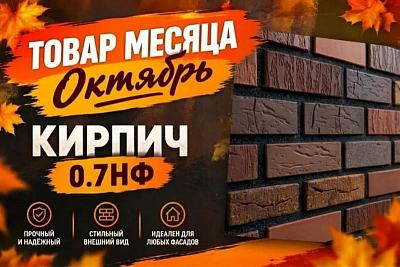 Скидка на весь кирпич Волгабрик формата 0,7НФ